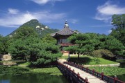 世界拳击锦标赛裁判复核系统与国际机构签署合作备忘录，2021年世界拳击锦标赛